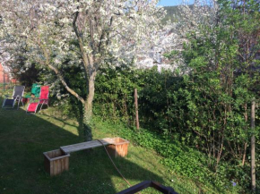 schones Zimmer in Gimmeldingen/ Konigsbach
